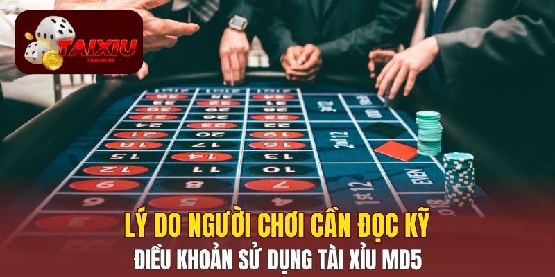 Lý do người chơi cần đọc kỹ điều khoản sử dụng Tài Xỉu MD5