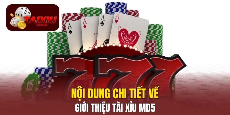 Nội dung chi tiết về giới thiệu Tài Xỉu MD5