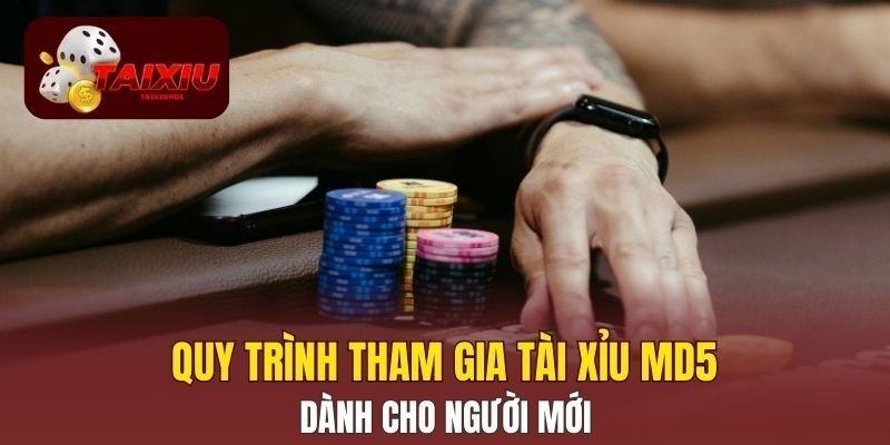 Quy trình tham gia Tài Xỉu MD5 dành cho người mới