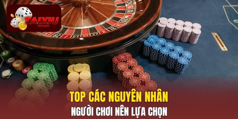 Top các nguyên nhân người chơi nên lựa chọn