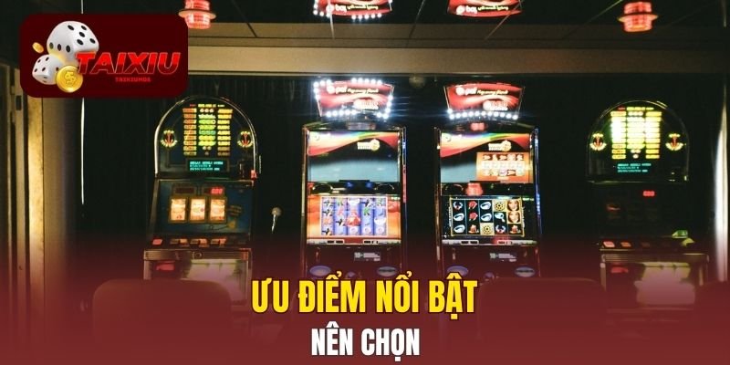 Ưu điểm nổi bật nên chọn