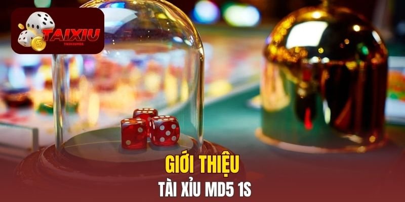 Giới thiệu Tài Xỉu MD5 1s