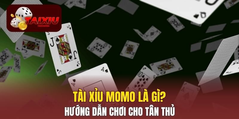Tài Xỉu Momo Là Gì? Hướng Dẫn Chơi Cho Tân Thủ